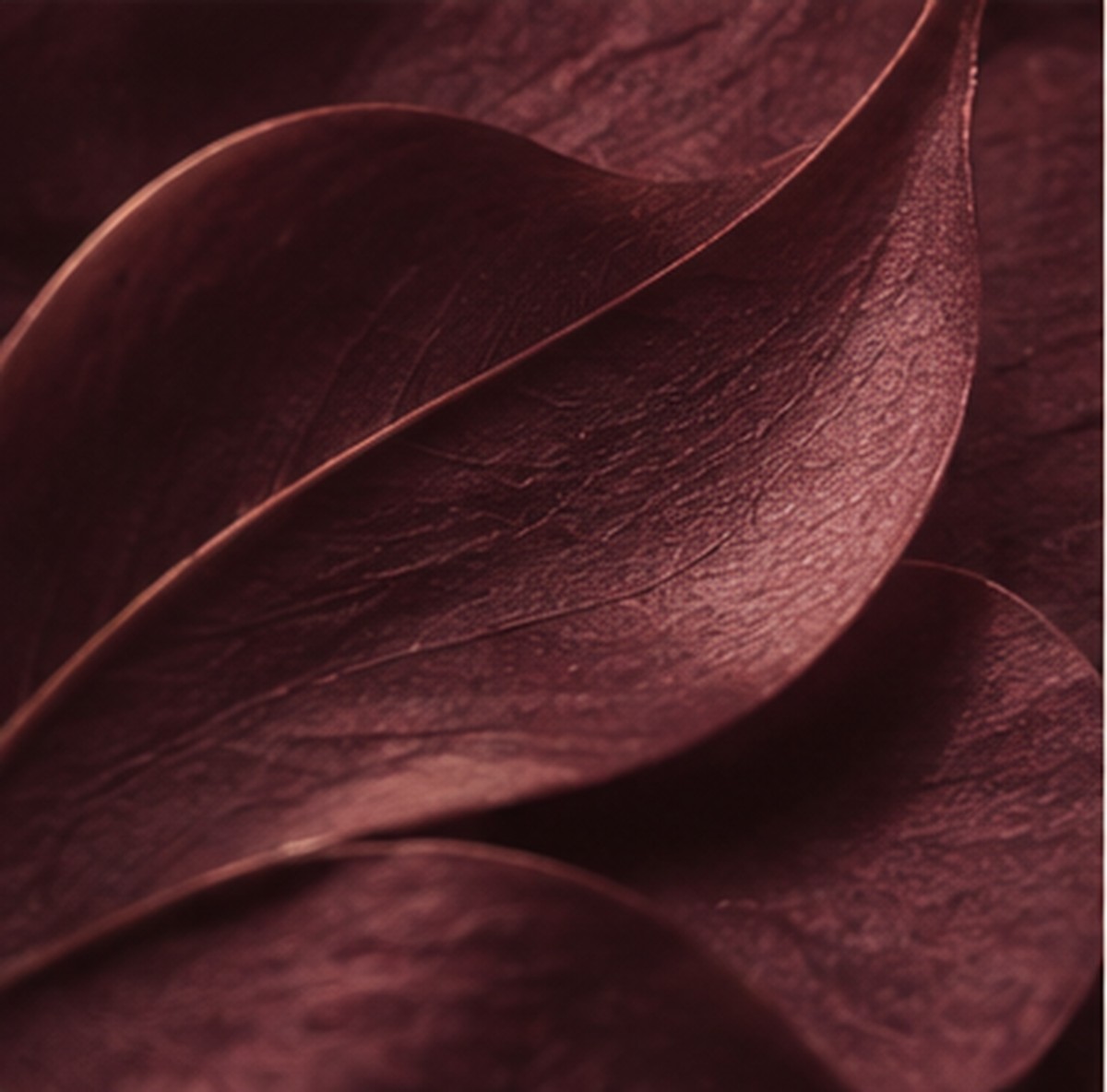 Texture éditoriale prune